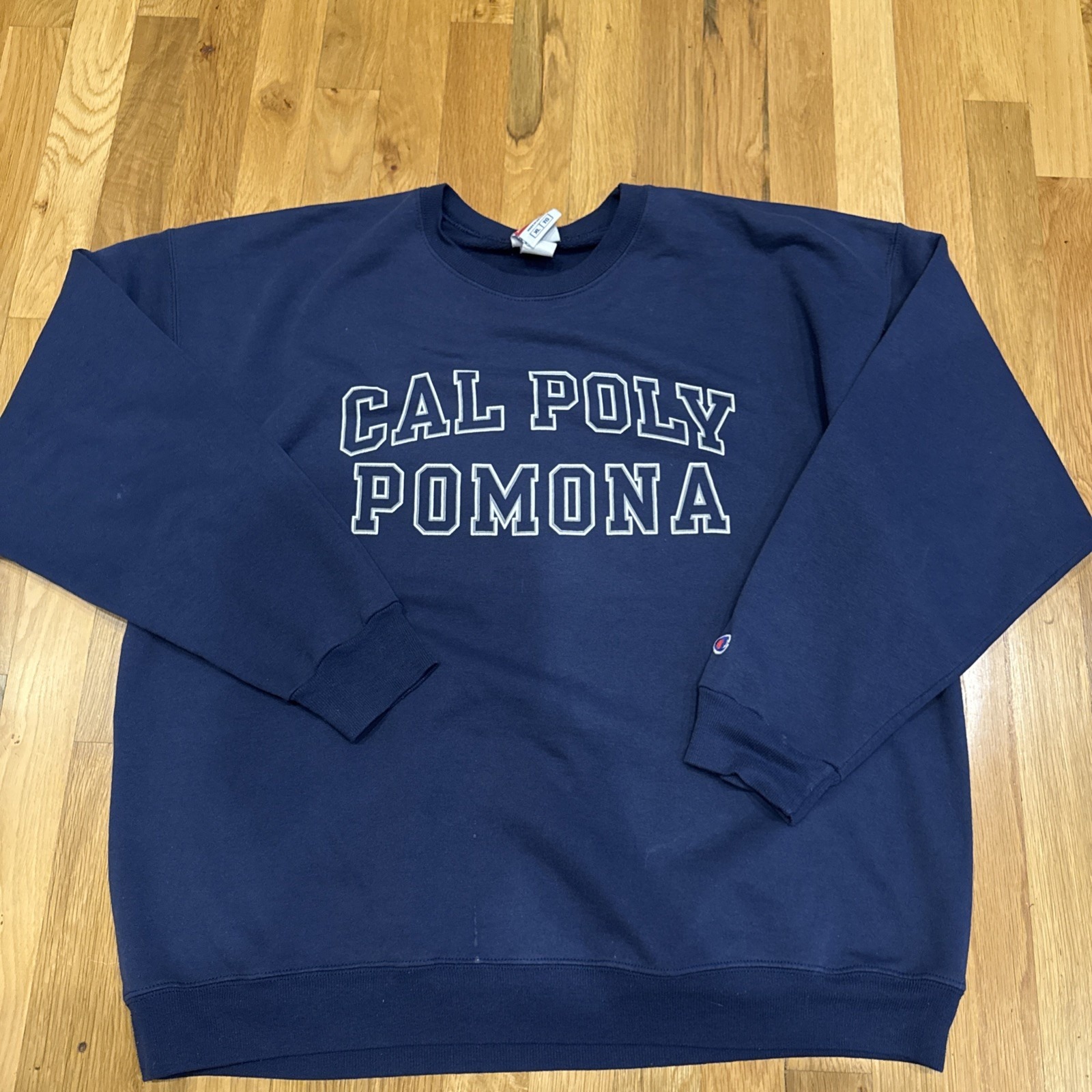 Vintage Champion Authentic College Sweatshirt Size Xl